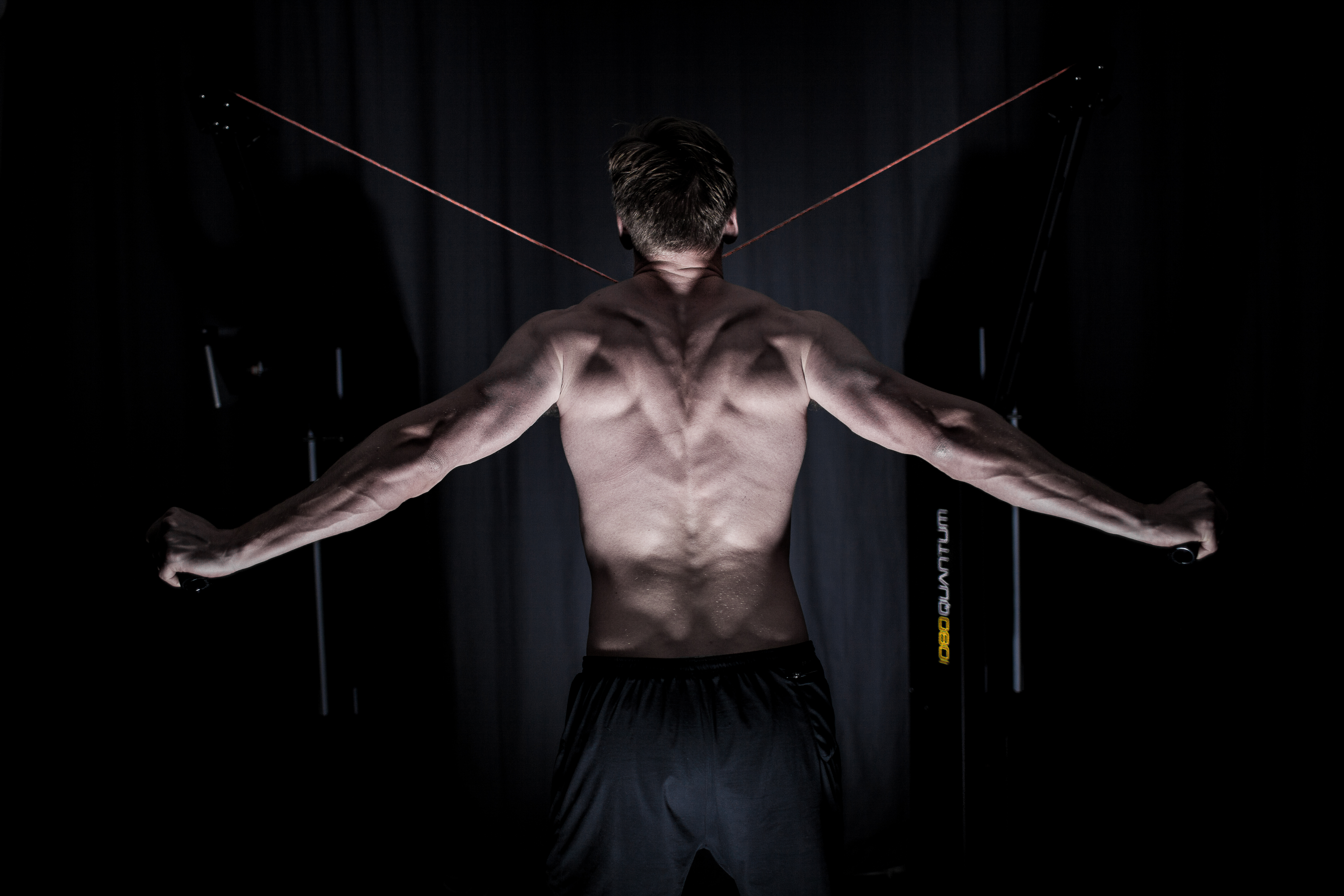 Article: The New Paradigm in Performance Training and Rehabilitation
